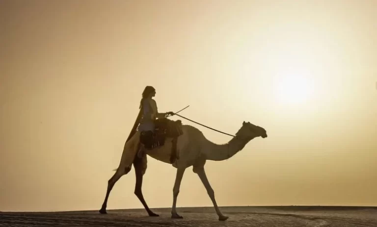 النصافي وش يرجع؟ ومن هم أبرز شخصياتهم