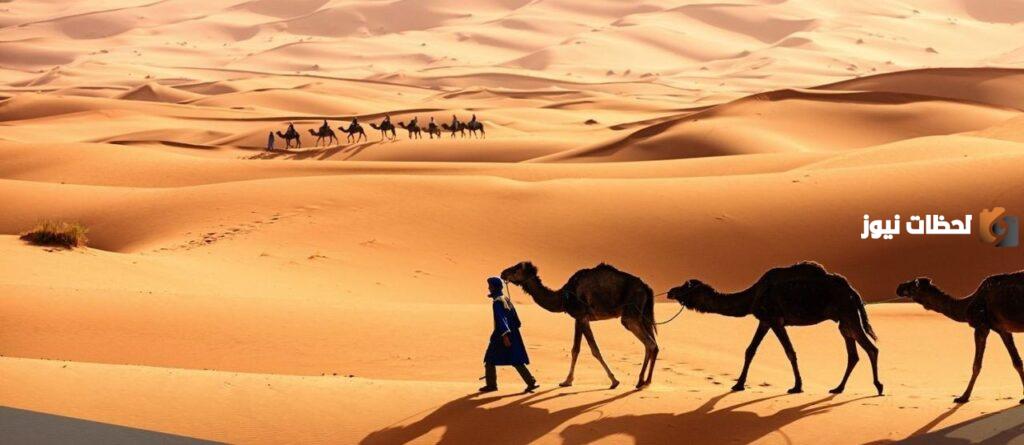 النفيعي وش يرجع.. أصل النفيعي من وين