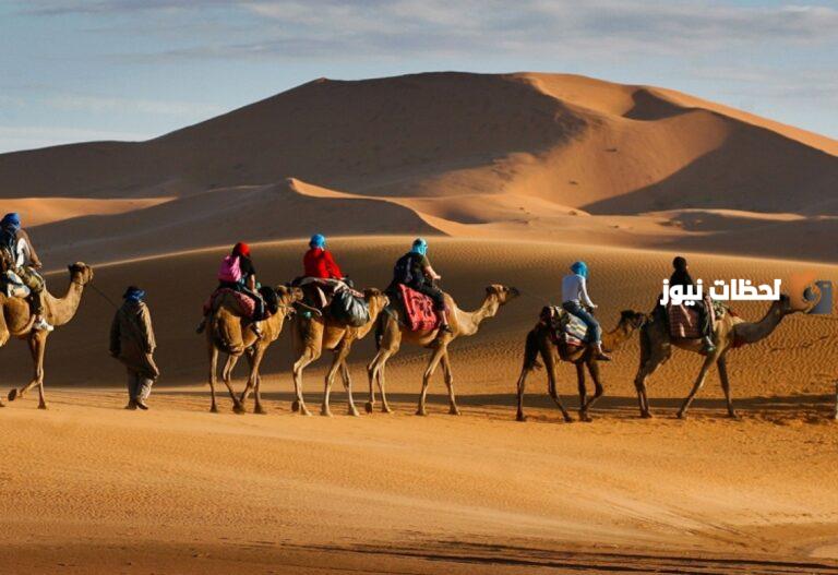 اليزيدي وش يرجع