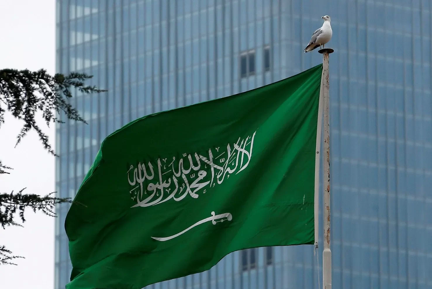 بن جخدب وش يرجع؟