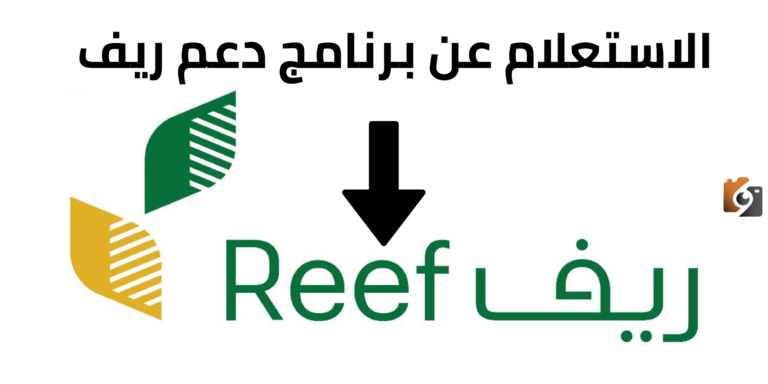 بوابة ريف رابط تسجيل الدخول reef.login.sa للاسر المنتجة وطريقة الاستعلام عن دعم ريف للمستفيدين