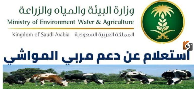من خلال “وزارة البيئة والمياه والزراعة” تعرف على خطوات الاستعلام عن أهلية دعم المواشي