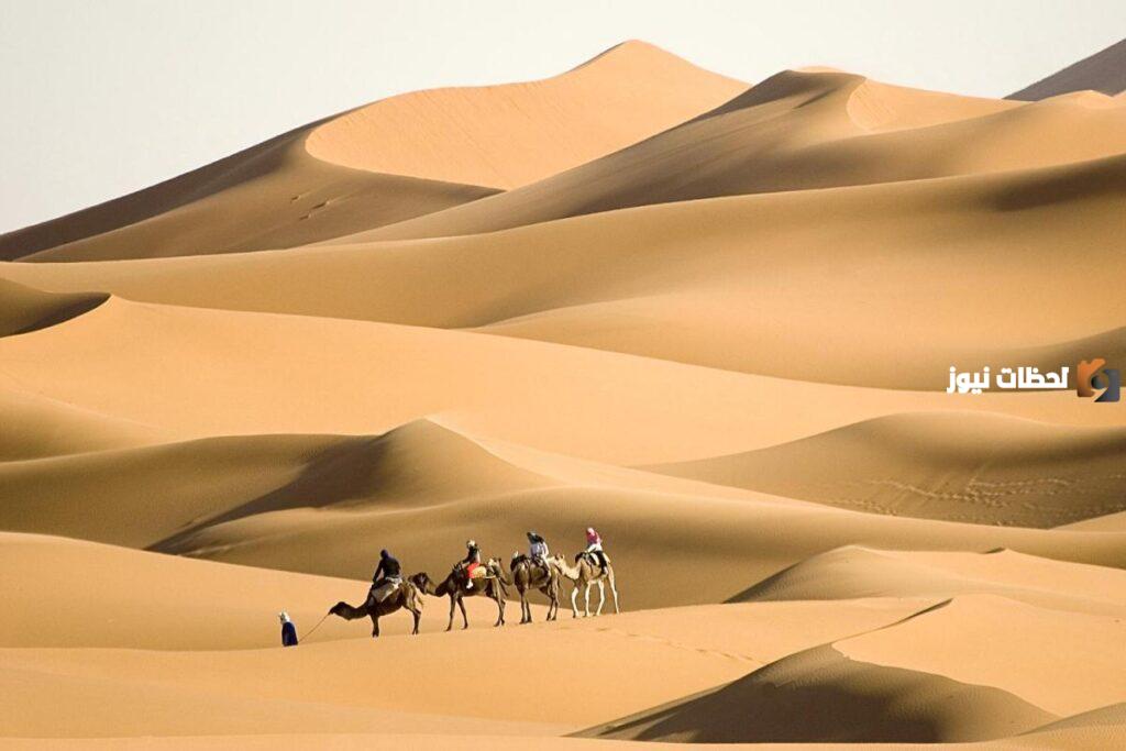 شجرة عائلة السلطان ونسبها