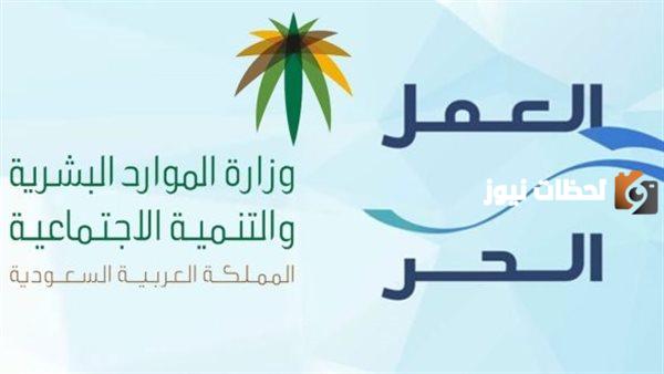 شروط قرض العمل الحر للعاطلين بدون كفيل