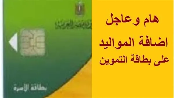 إضافة المواليد لبطاقة التموين 2025 بالرقم القومي من خلال موقع دعم مصر وخطوات الاستعلام tamwin.com.eg