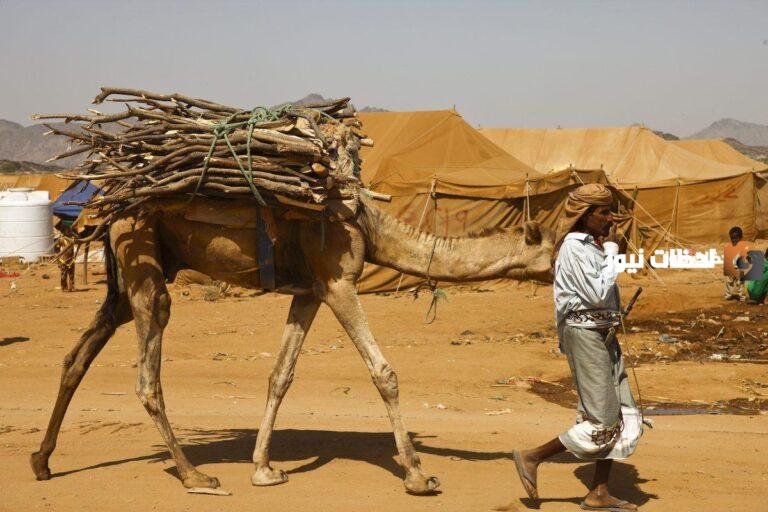 عائلة الطهيمي وش يرجع أصلها ونسبها ؟
