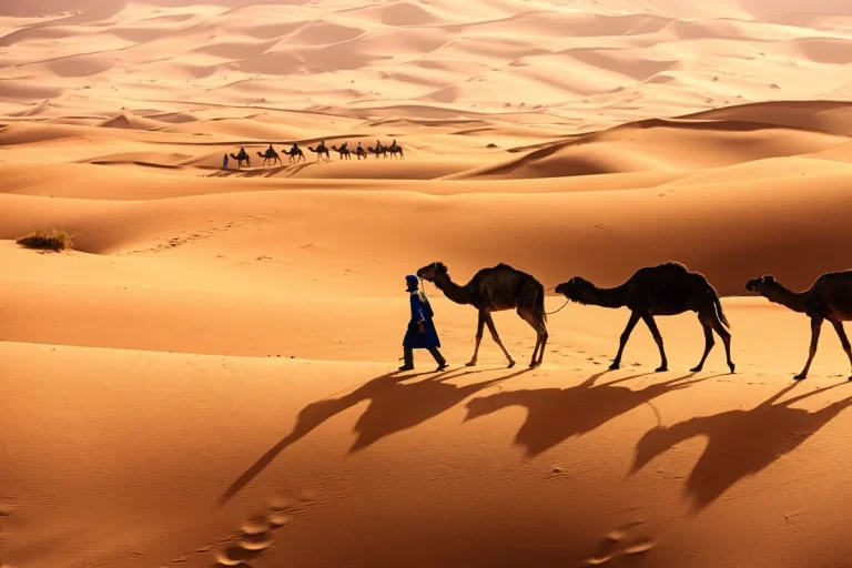 عائلة العنبر من وين.. من اين عائلة العنبر؟