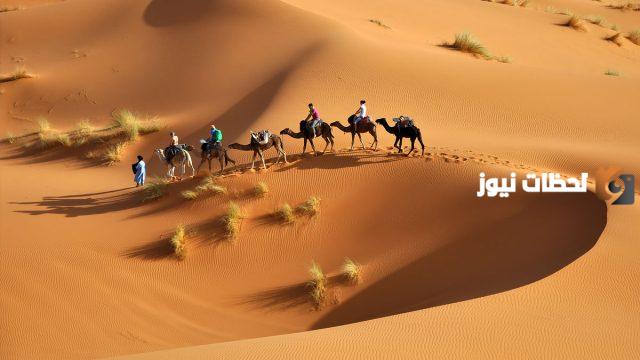 عائلة اليوبي وش يرجعون أصلهم وما هي شجرة العائلة