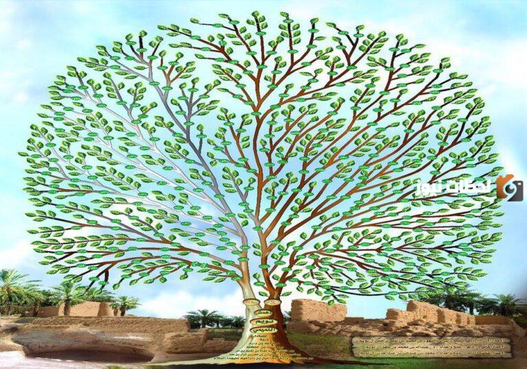 فخوذ قبيلة التميمي