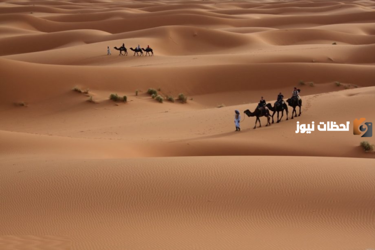 قبيلة الحكمي وش يرجع أصلهم ونسبهم ؟
