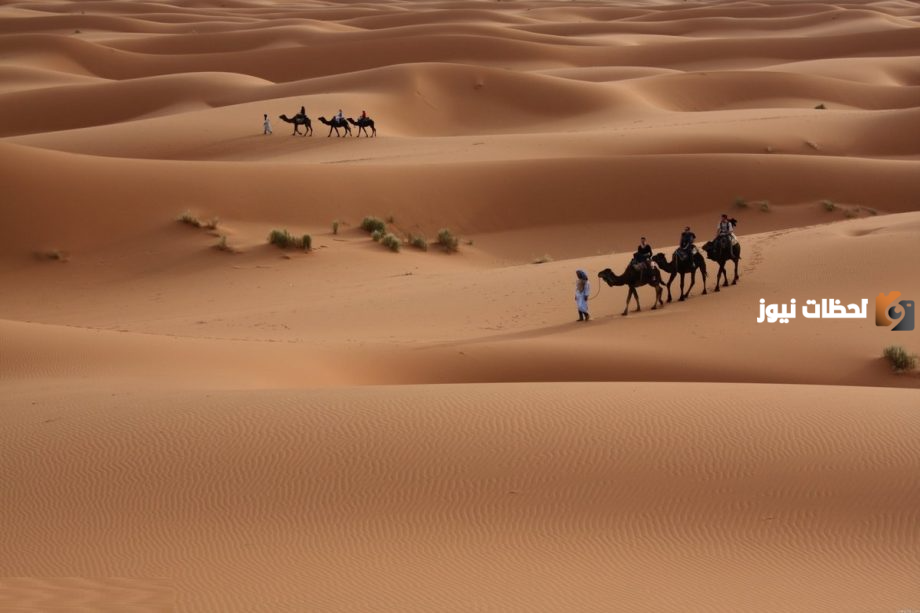 قبيلة الحكمي وش يرجع أصلهم ونسبهم ؟