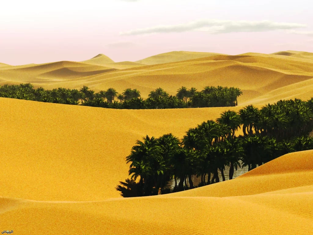 قبيلة اليوبي وش يرجعون هل يرجعون الى قبيلة حرب؟