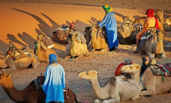كم عدد قبيلة بني كعب؟ وتاريخهم