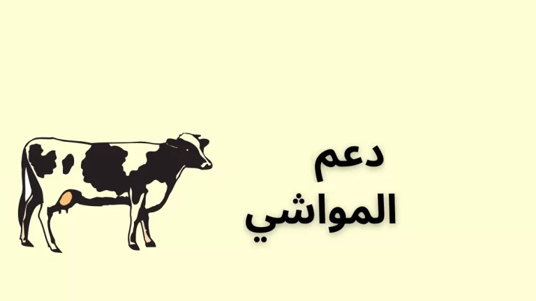 الاستعلام عن دعم مواشي 1447 ومتي ينزل الدعم وما شروط الاستحقاق؟