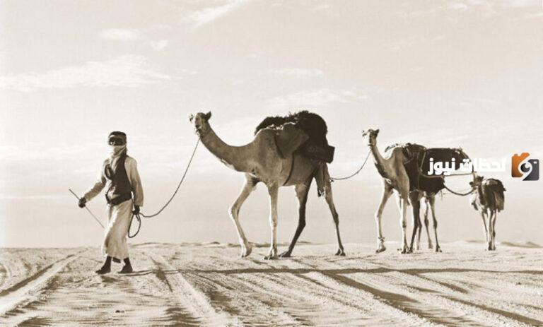 ما هو اكثر عدد قبيلة في الامارات