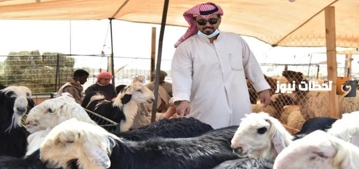 من يستحق دعم المواشي