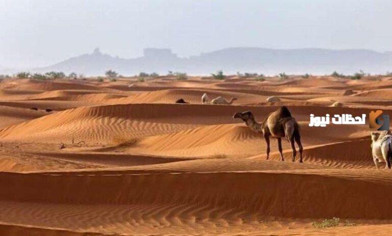 نسب قبيلة البقوم وفروعها وتاريخها