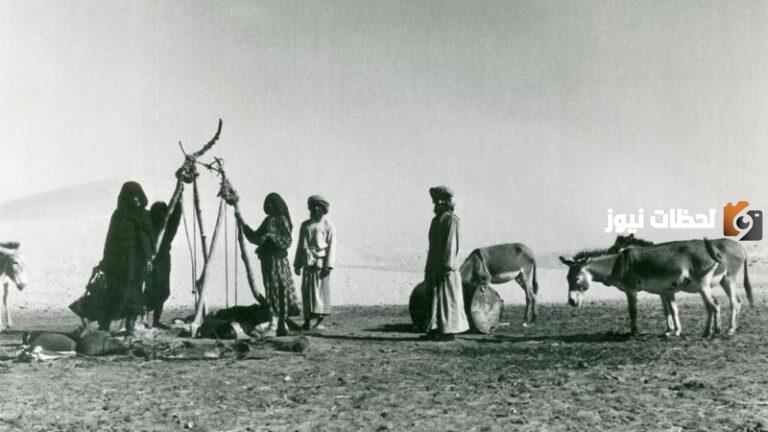 نسب قبيلة شمر الحقيقي