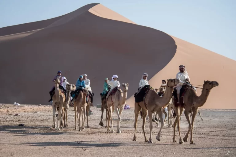 نسب وأصل عائلة المضحي وش يرجع وما هي فروع العائلة