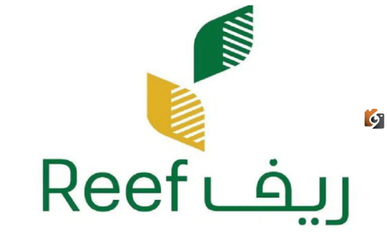 هل الدعم الريفي يشمل ربات البيوت وما هي شروط الدعم الريفي للنساء؟