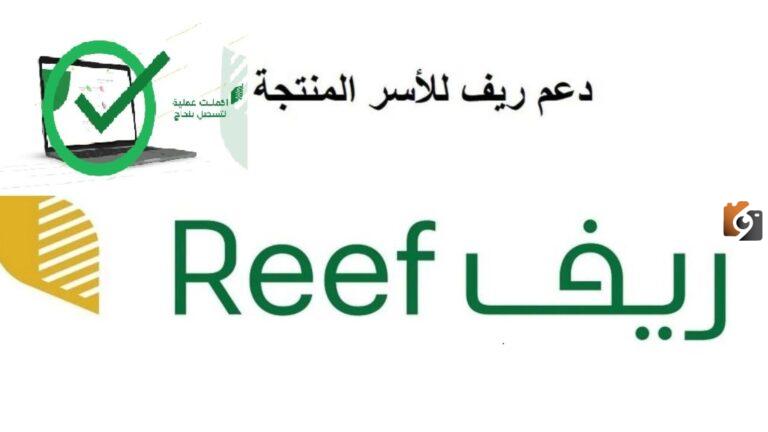 وزارة البيئة والمياه والزراعة تكشف عن شروط الاستفادة من الدعم الريفي