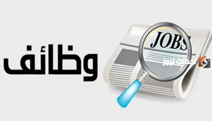 متطلبات وشروط التقديم على وظائف التأمينات الاجتماعية 2024