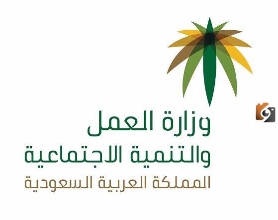 من هم مستحقي الضمان الاجتماعي الجديد