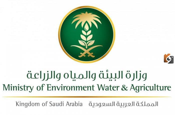 الاستعلام عن برنامج دعم المواشي, الحصول على دعم المواشي الدفعة الجديدة, برنامج دعم المواشي