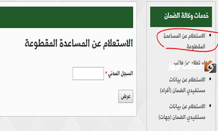 في ظل الأزمة: هل ستعود المساعدة المقطوعة 1447 قريبًا؟