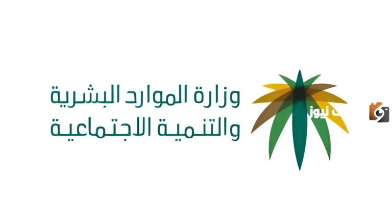 عاجل: الضمان الاجتماعي يعلن تمكين 51 ألف مستفيد في سوق العمل