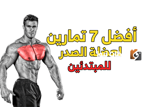 تمارين صدر في الجيم | أفضل تمارين الصدر في الجيم