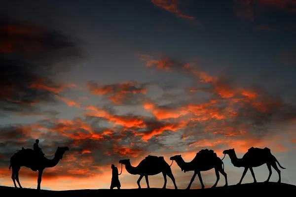اصل قبيلة الصمعاني