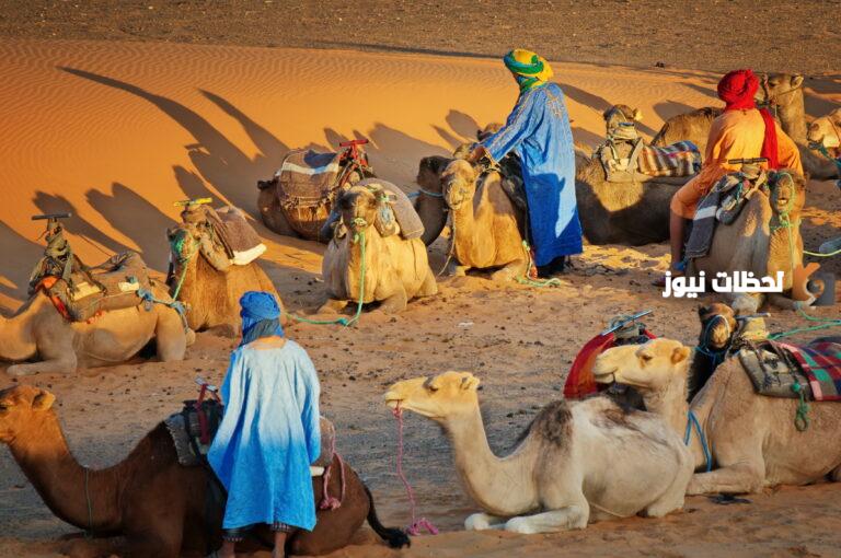 الأزيمع وش يرجعون وما فخوذ الأزيمع
