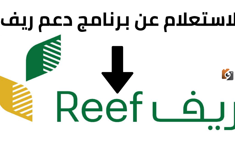 دعم ريف