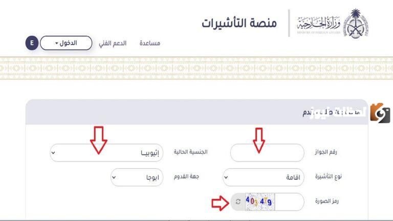وزارة الخارجية: منصة التأشيرات الإلكترونية الاستعلام عن تأشيرة 1447 بالخطوات