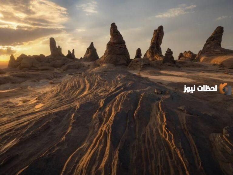 على مساحة مهولة | البدء في إنشاء محمية الإمام فيصل بن تركي الملكية بأمر من خادم الحرمين الشريفين