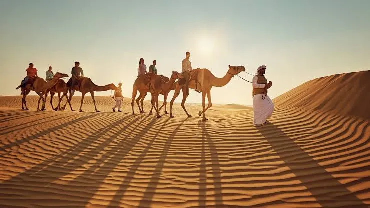 البعيجان وش يرجع؟ ما أشهر شخصيات عائلة البعيجان؟