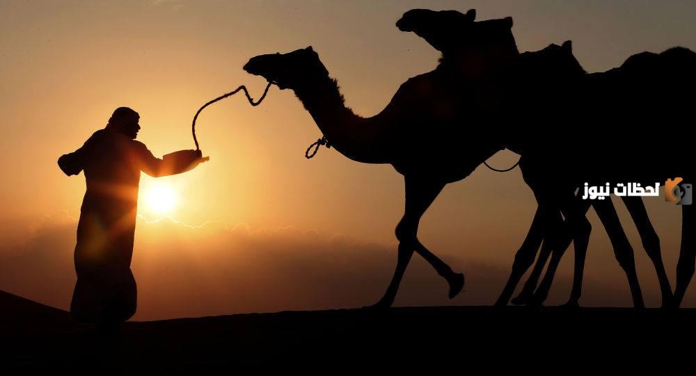 البكري وش يرجع اصل قبيلة البكري ونسبها