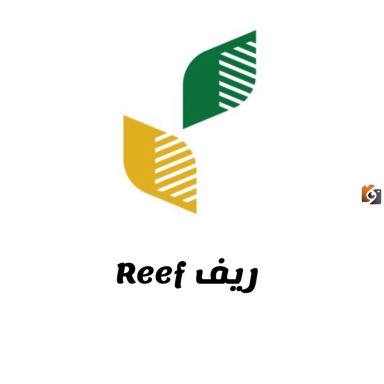 معلومات عامة حول منصة ريف وكيفية التسجيل لجميع العاطلين في دعم الريف