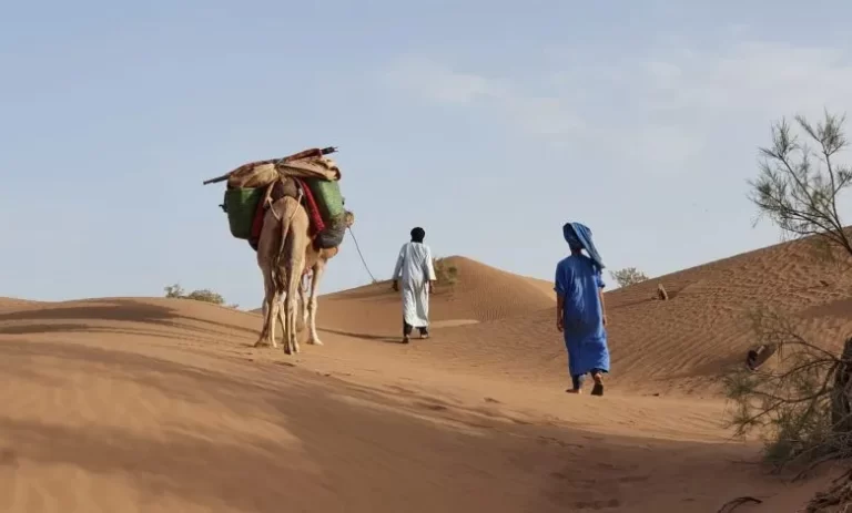 الجطيلي وش يرجعون أصل عائلة الجطيلي من وين