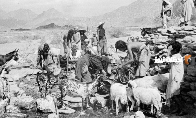 الجميلي وش يرجع وأصله ونسبه