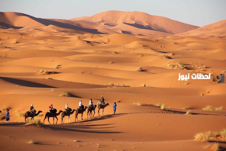 الحسيني وش يرجعون أصل عائلة الحسيني