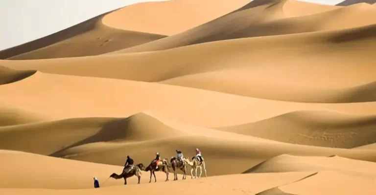 الحوشان وش يرجع وما أصل عائلة الحوشان ونسبهم