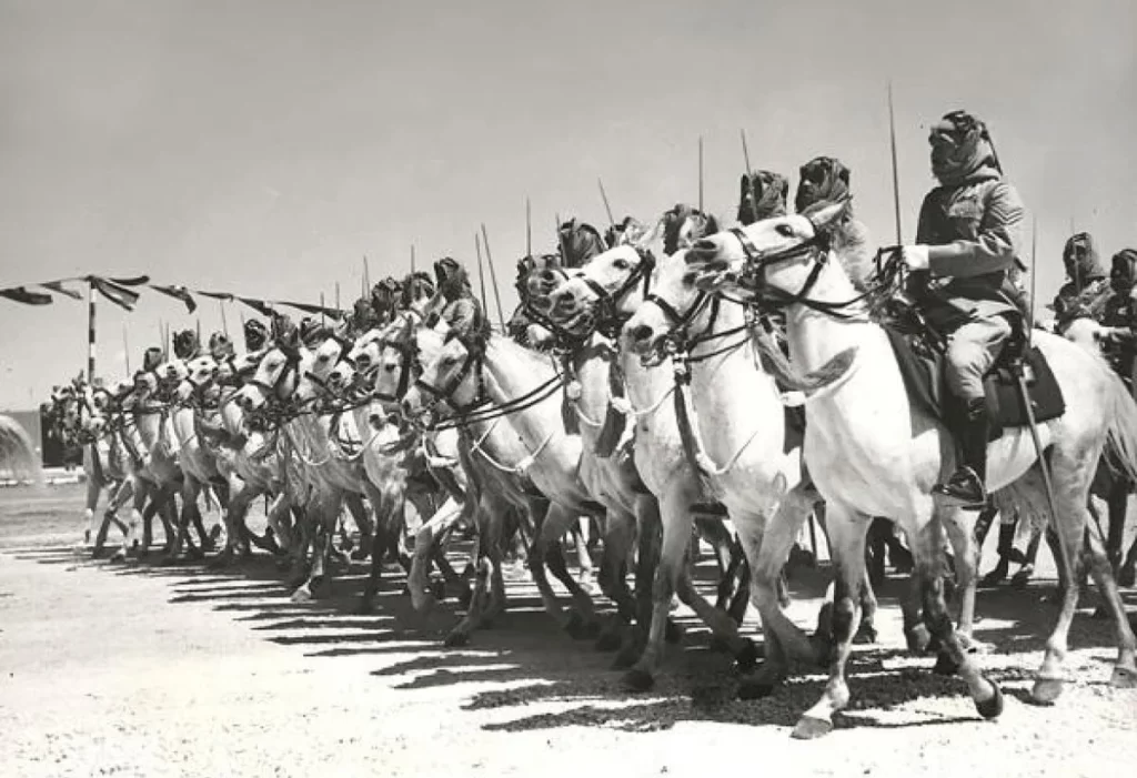 الداهوم وش يرجعون وما نسبهم
