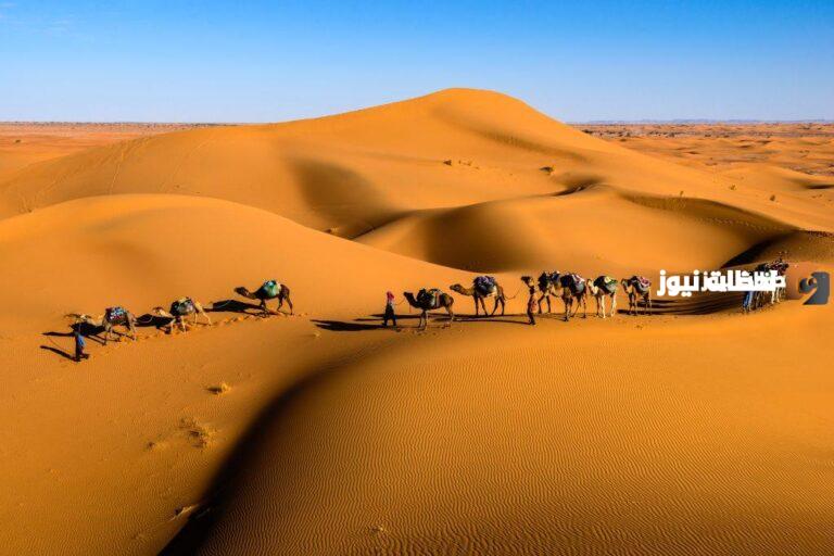 الظفيري من وين أصل عائلة الظفيري وش يرجع