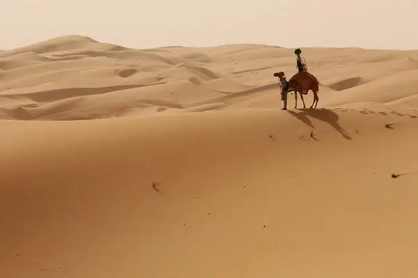 العولقي وش يرجع أصل العولقي من وين