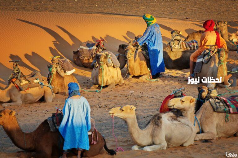 الغويري وش يرجعون الغويري كم فخذ