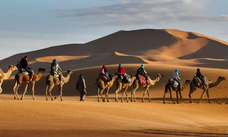 القباع وش يرجعون