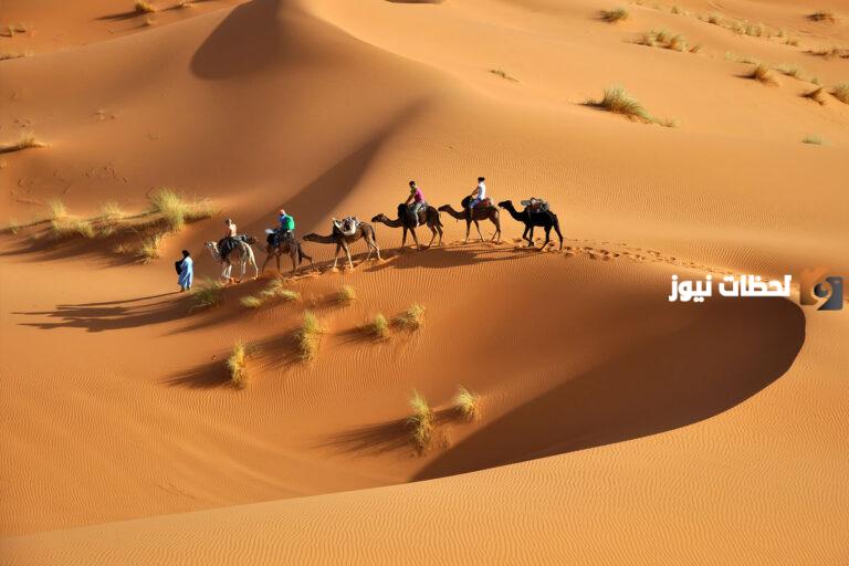 المحياني وش يرجعون