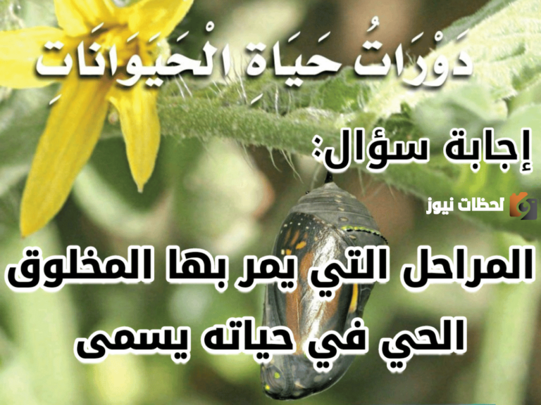أكمل | المراحل التي يمر بها المخلوق الحي في حياته يسمى …
